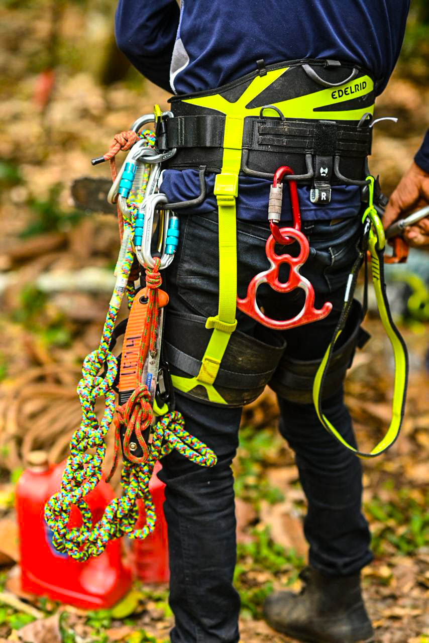 31d48bfb 179e 465a B156 A79ccf1aa9c9