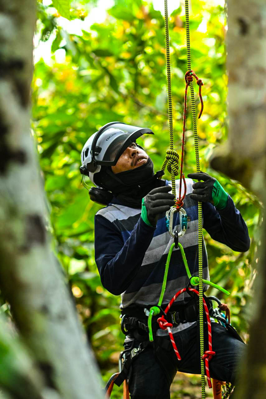 5974d1d9 6ac7 4a69 8566 35727083ff46